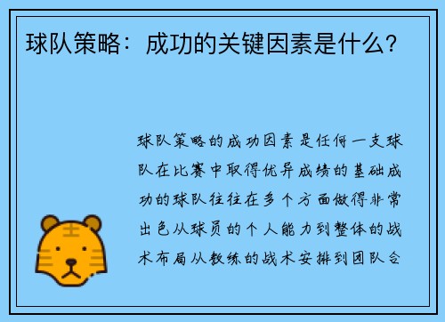 球队策略：成功的关键因素是什么？